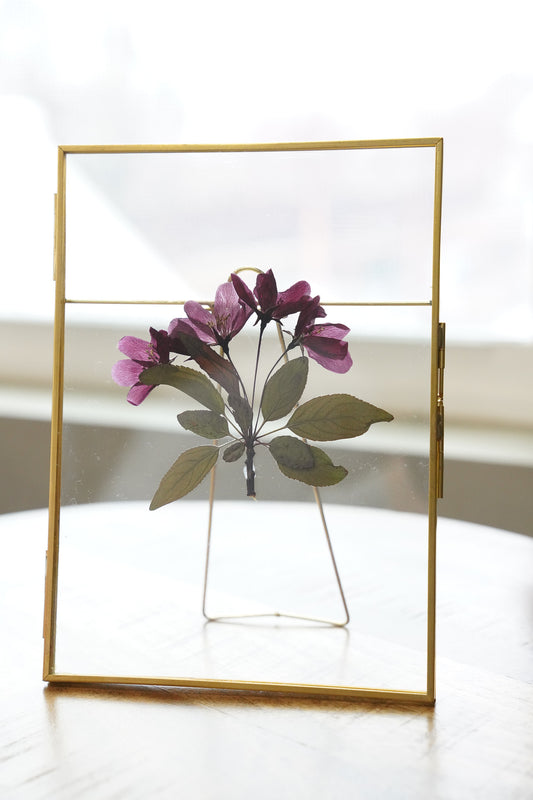 Pressed Crabapple Blossoms