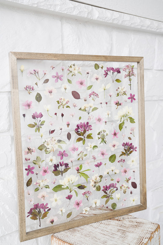 Anticipation of Spring- The Study of Tree Blossoms