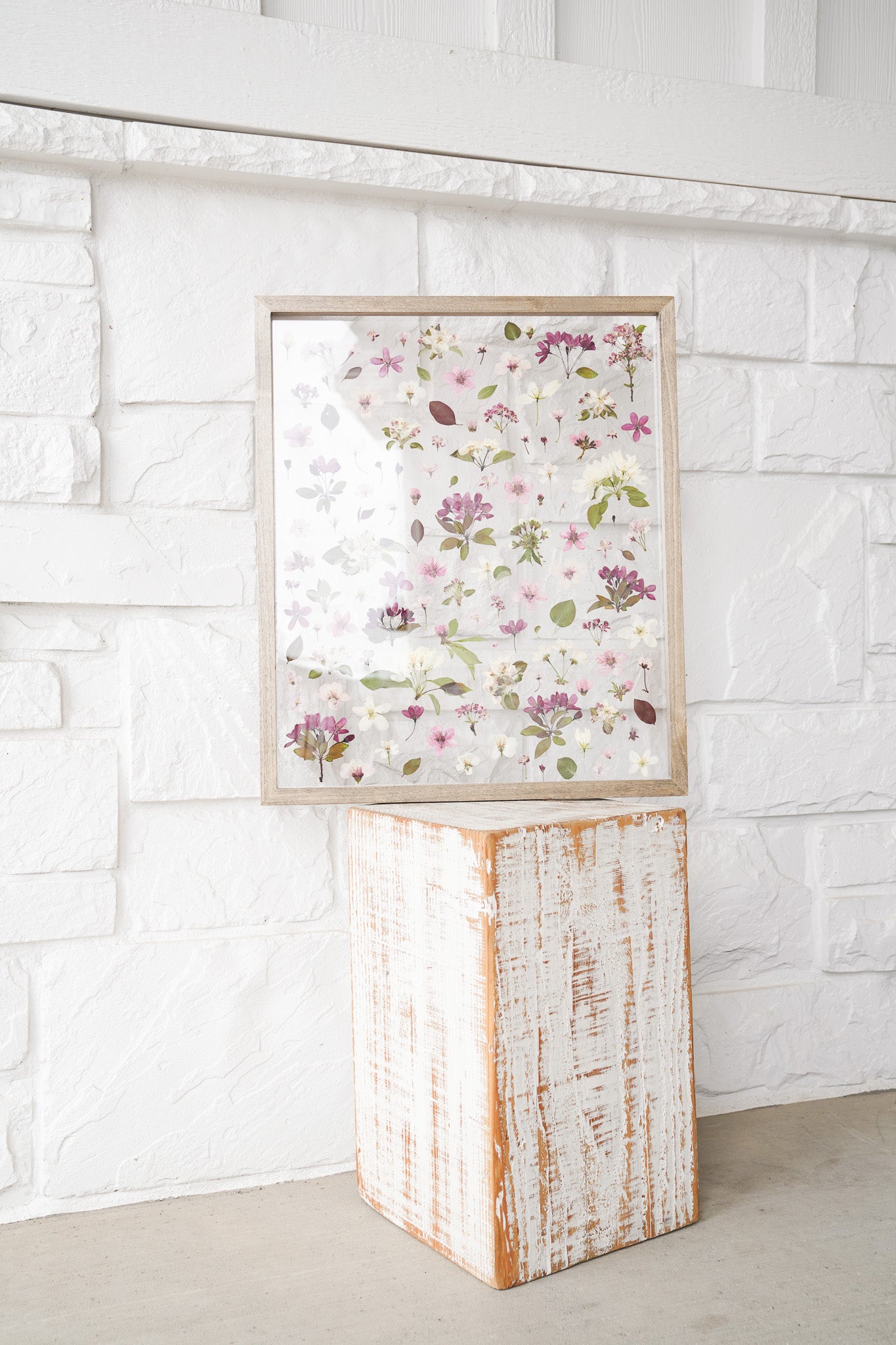 Anticipation of Spring- The Study of Tree Blossoms