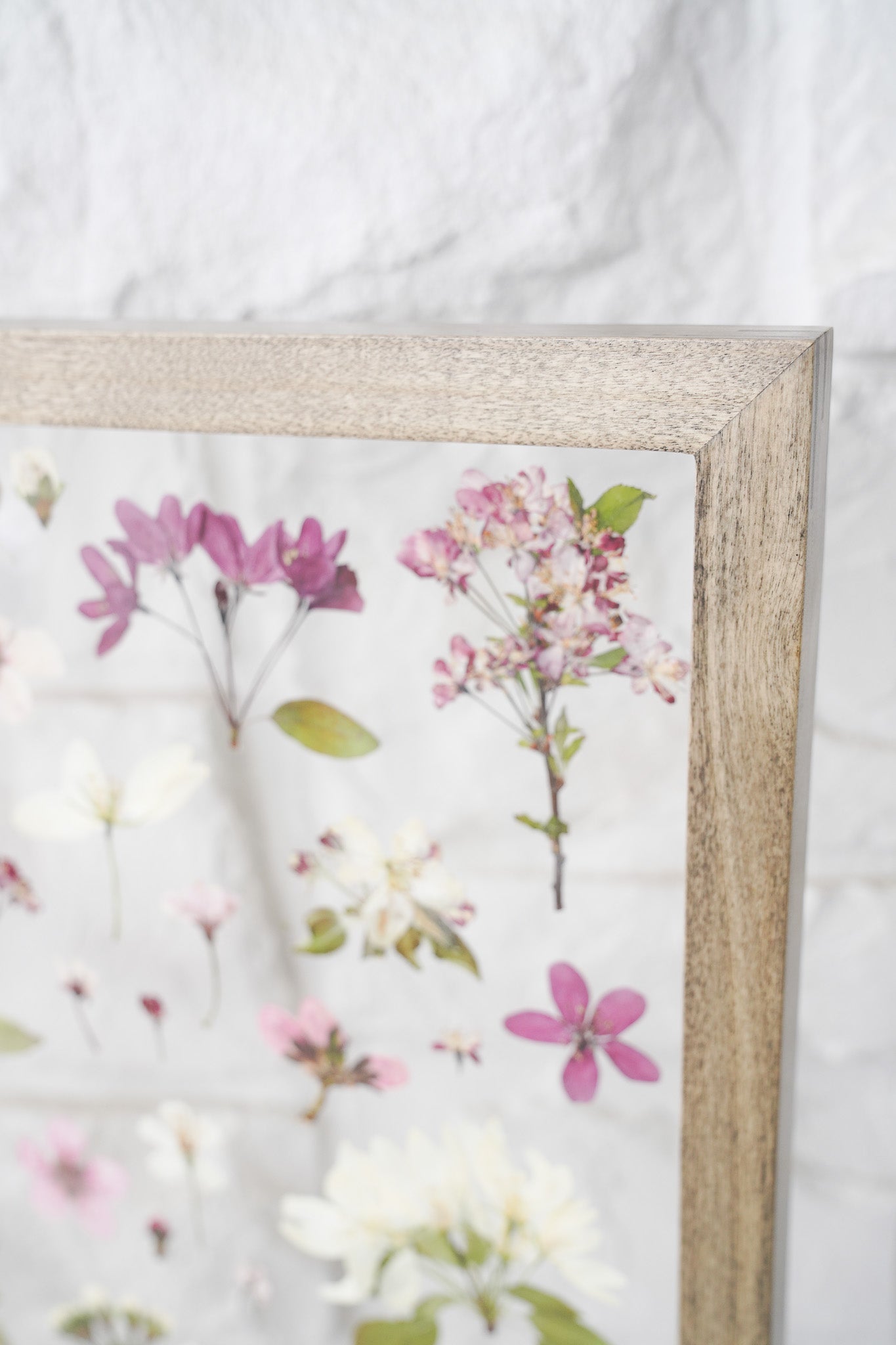 Anticipation of Spring- The Study of Tree Blossoms