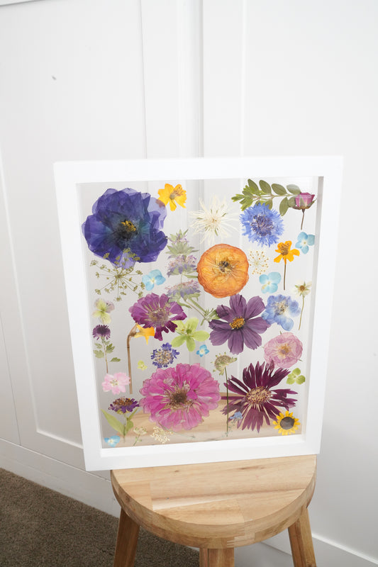 Colorful Study of Flowers