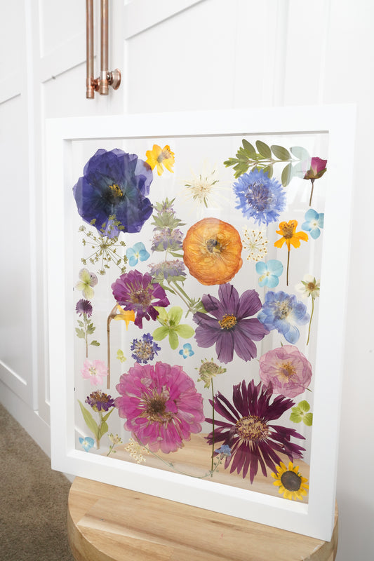 Colorful Study of Flowers