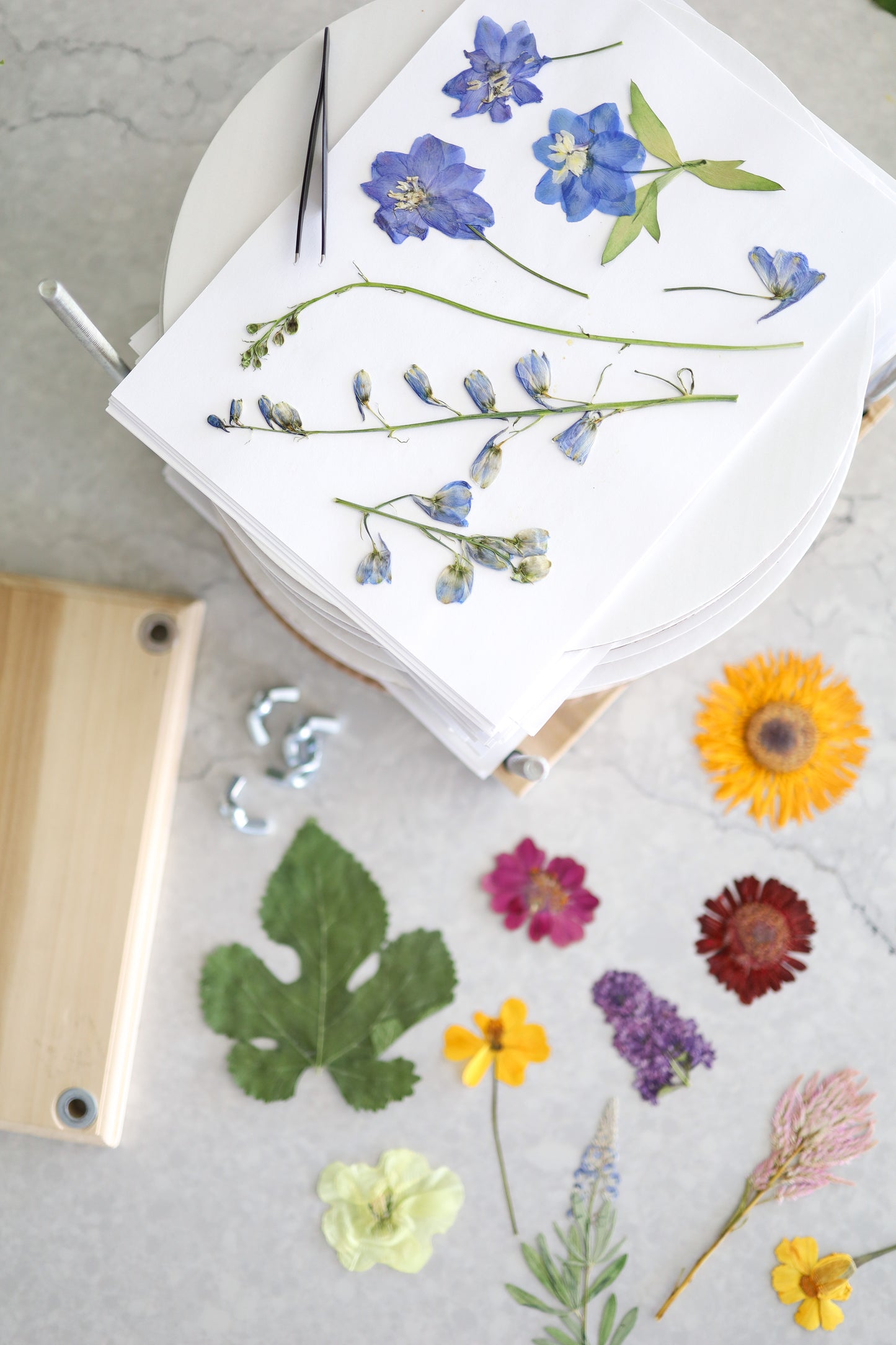 Flower Pressing 101 eBook - Easy and Fun Full Flower Pressing