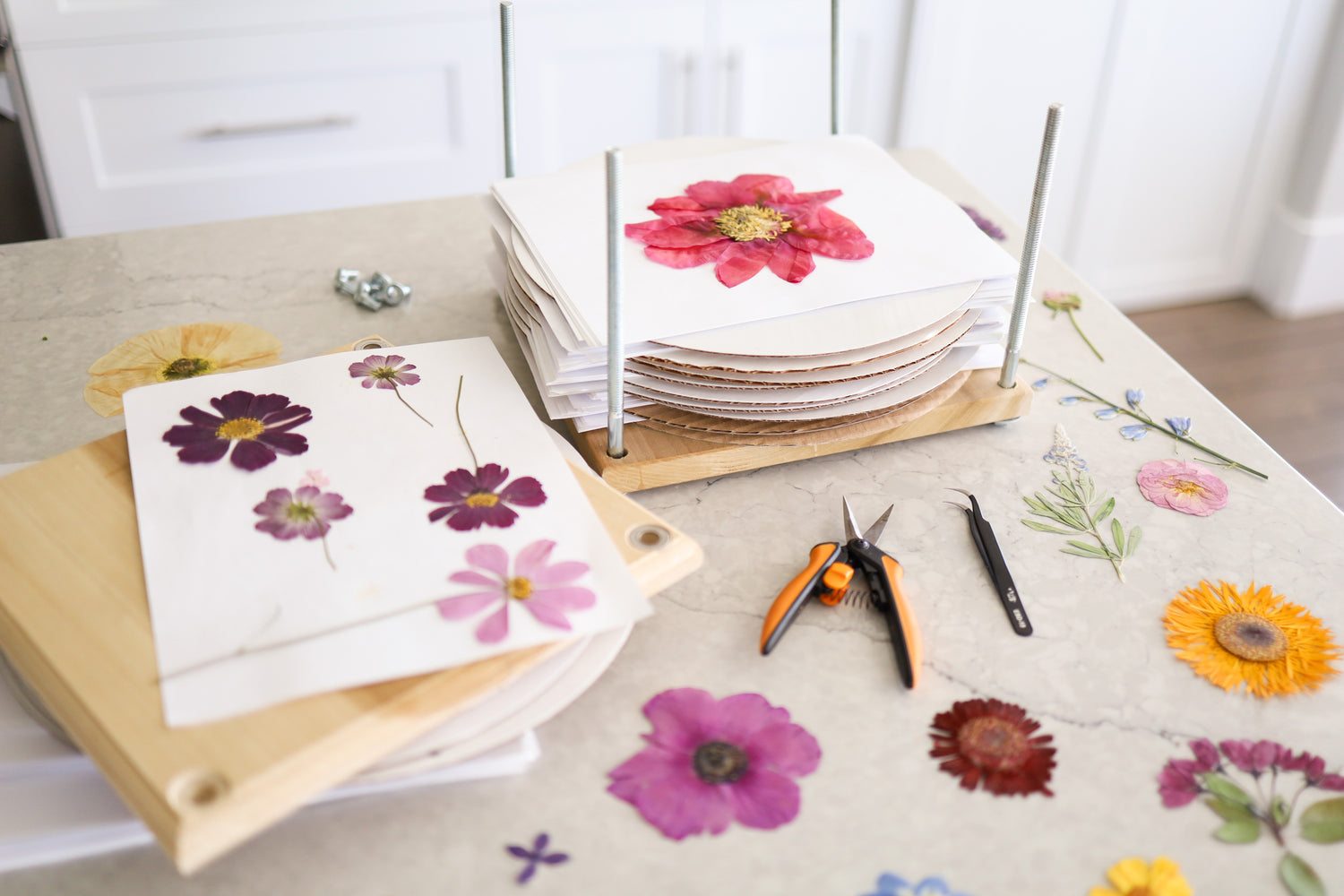 Paint with Pressed Florals Workshop