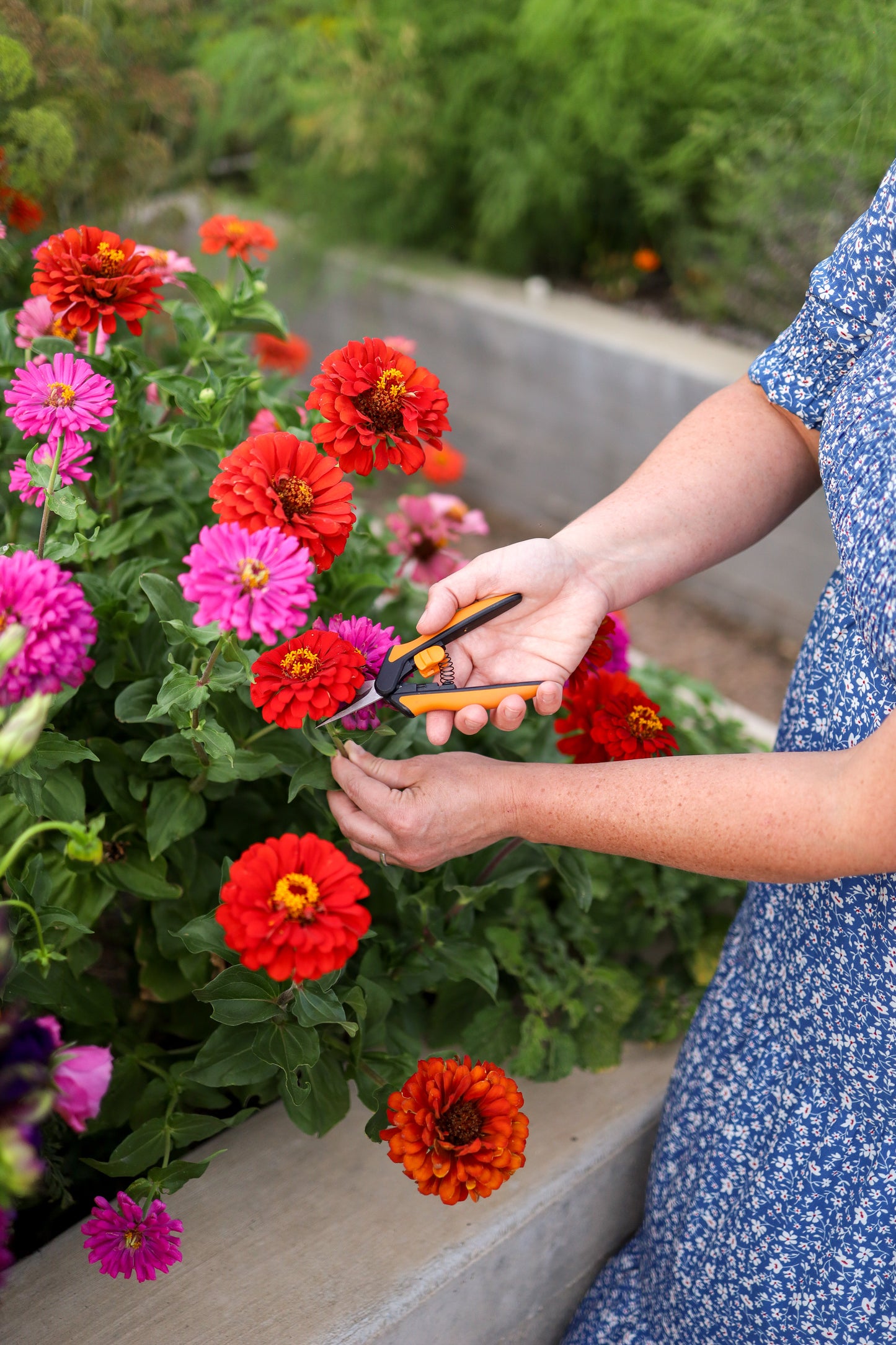 Flower Pressing 101 eBook