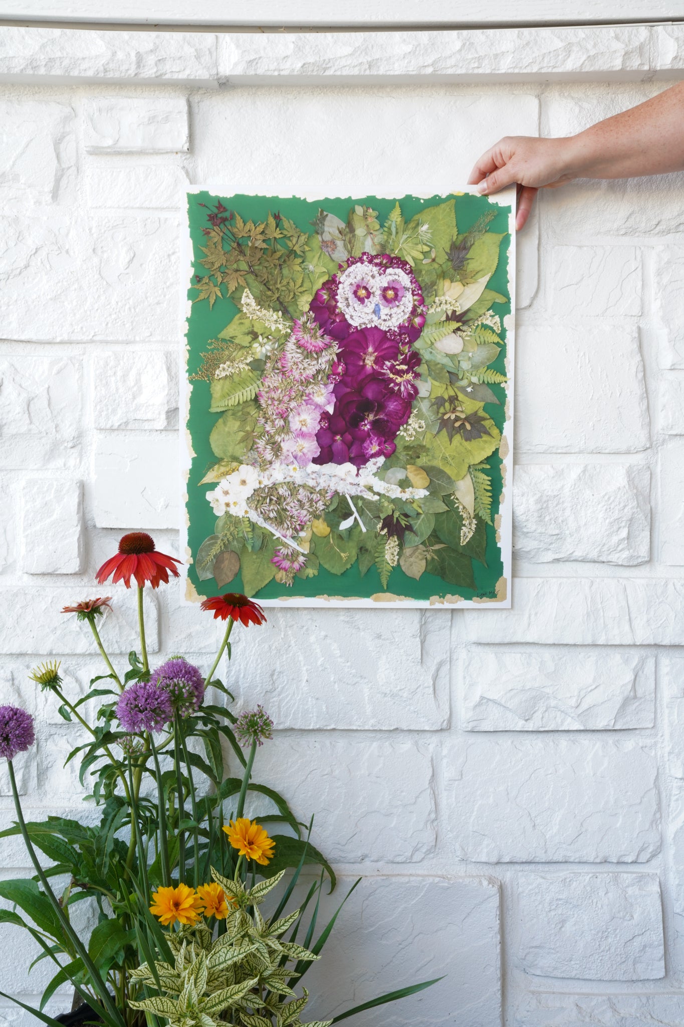 Heartwood Owl Print